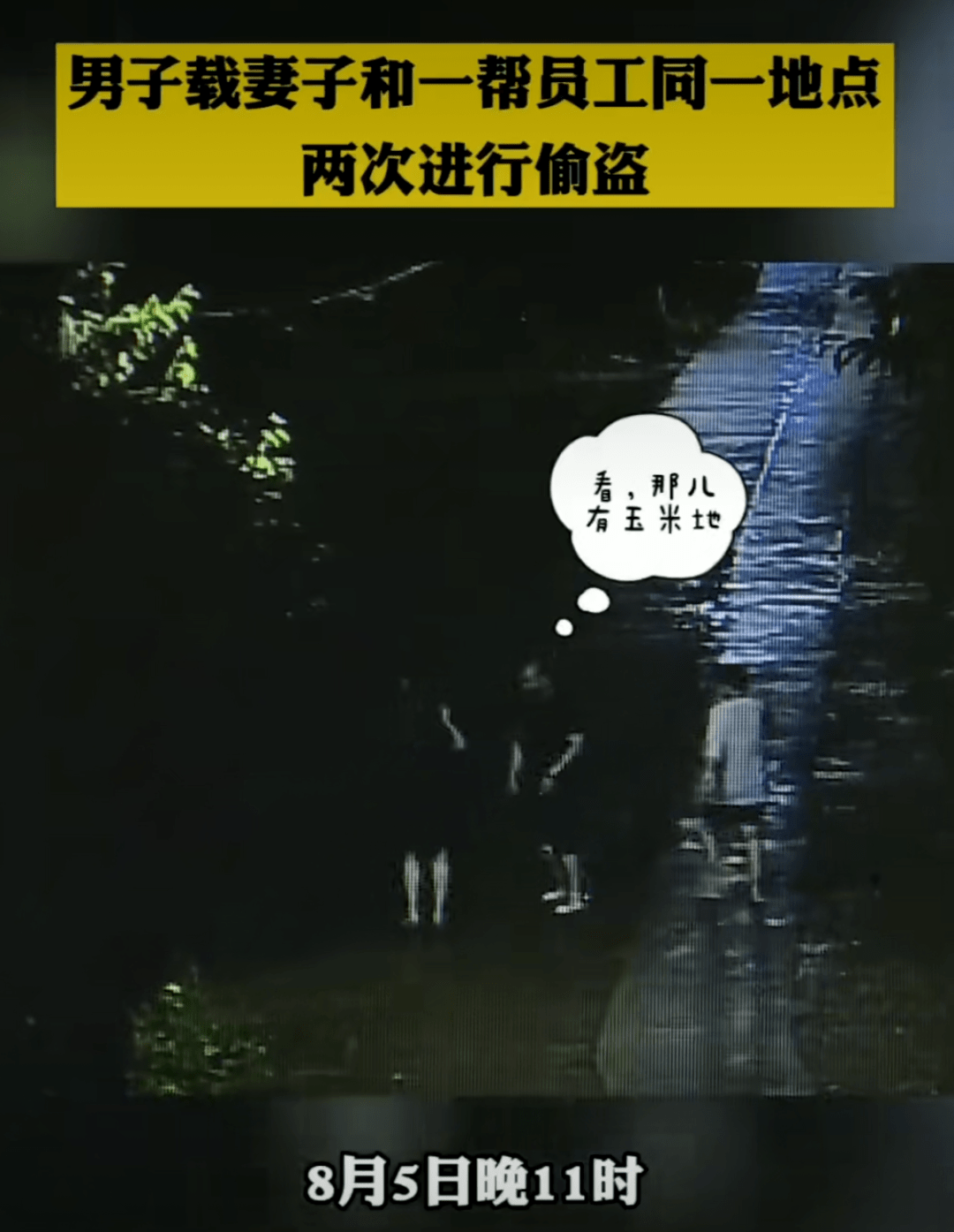 足浴|一男子载着妻子和一帮足浴店员工深夜下地偷玉米