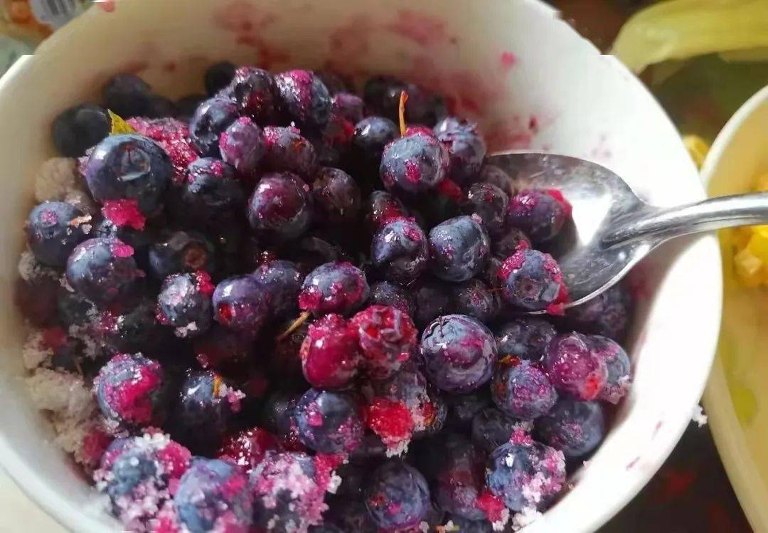 兴安趣谈——采都柿_大山