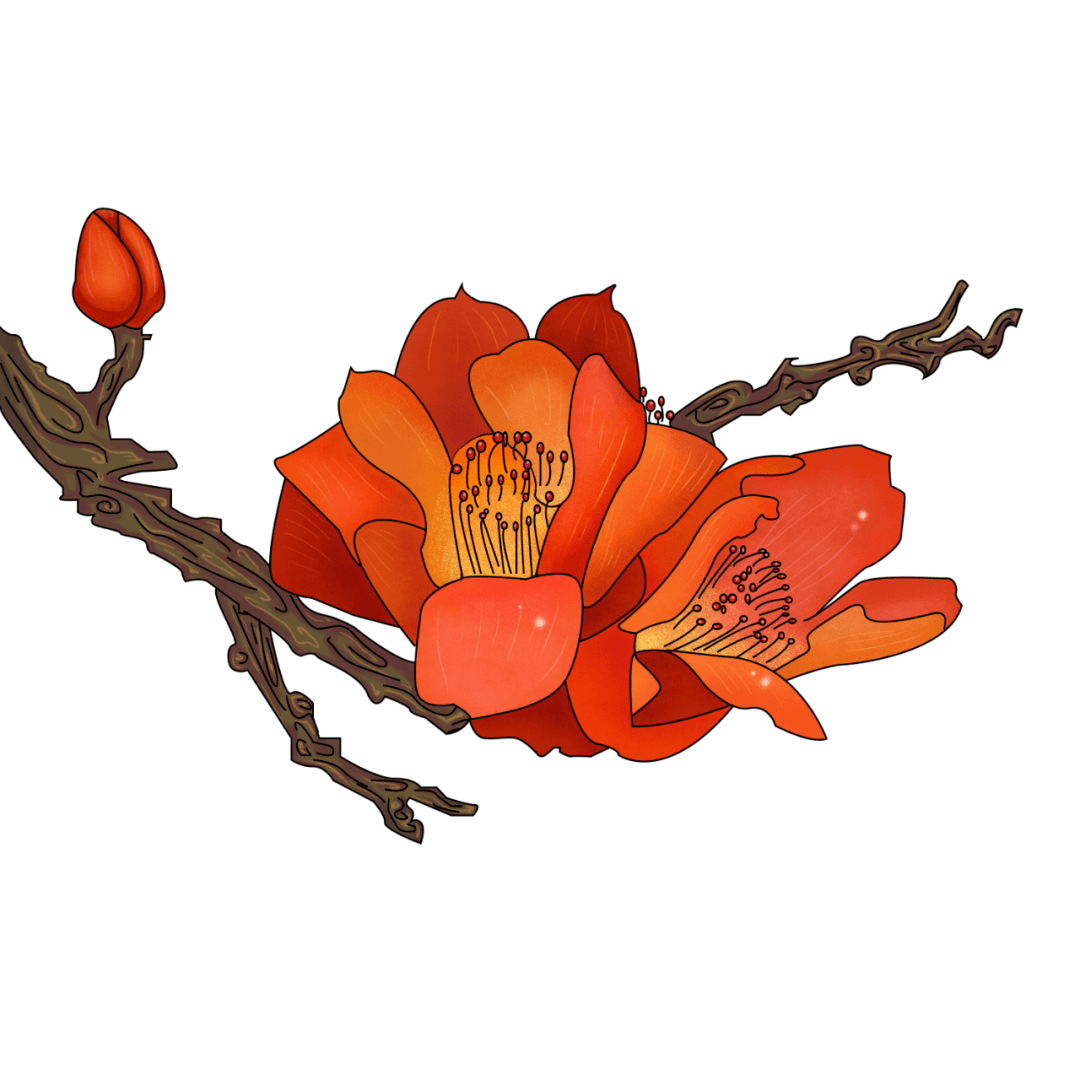 喝水都变胖原来是痰湿体质在作怪专家推荐3碗应季汤水减肥又祛湿