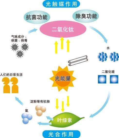 怎样快速去除甲醛和异味 86a8450ba4194a88848fbd2ccabf7c2e.jpeg
