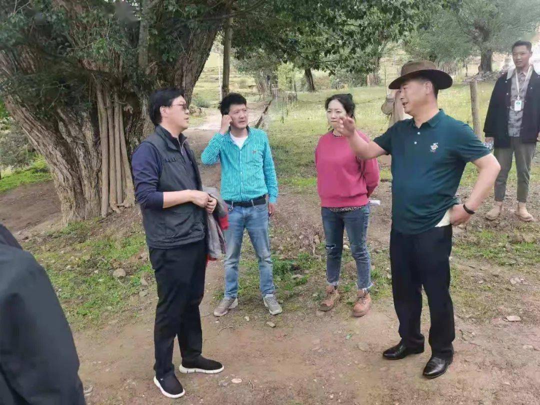 编辑:叶任伟审核:叶强平【特别欢迎你的来稿和有意思的新闻线索,等你