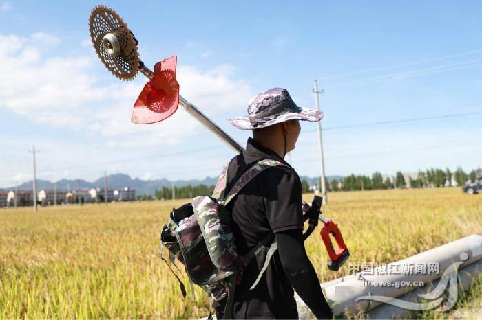 暑你美气象员高温下记录高温