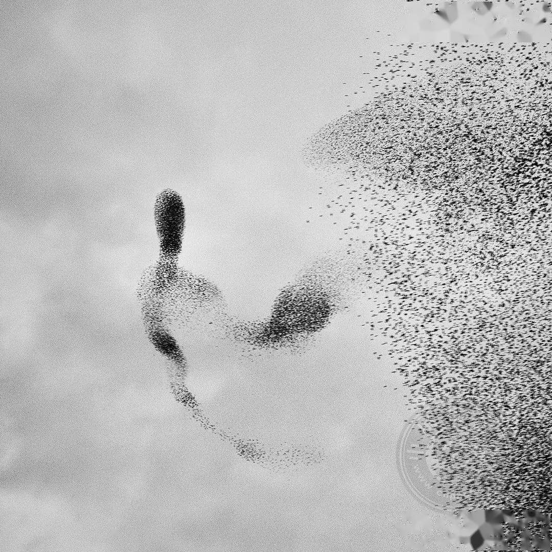 作品|获奖公布 | 2021第三届极简主义摄影奖（年度摄影师）作品揭晓