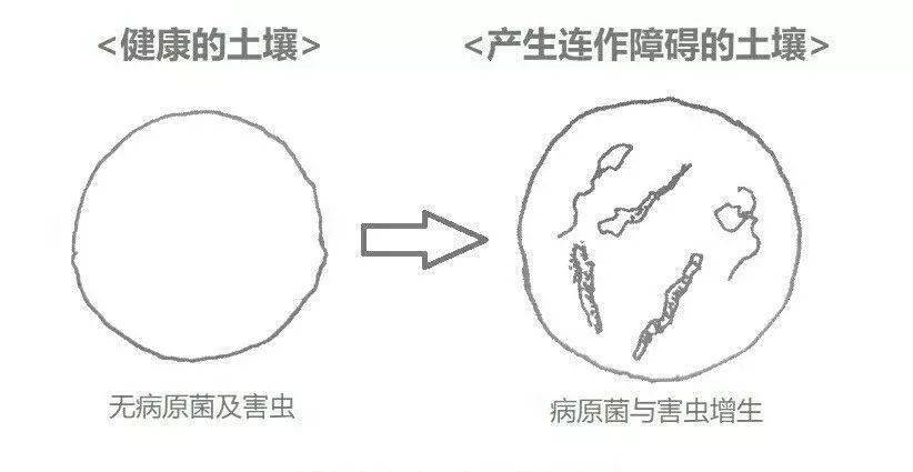 7b3d80c165cd468b871bcb1efd20492c.jpeg