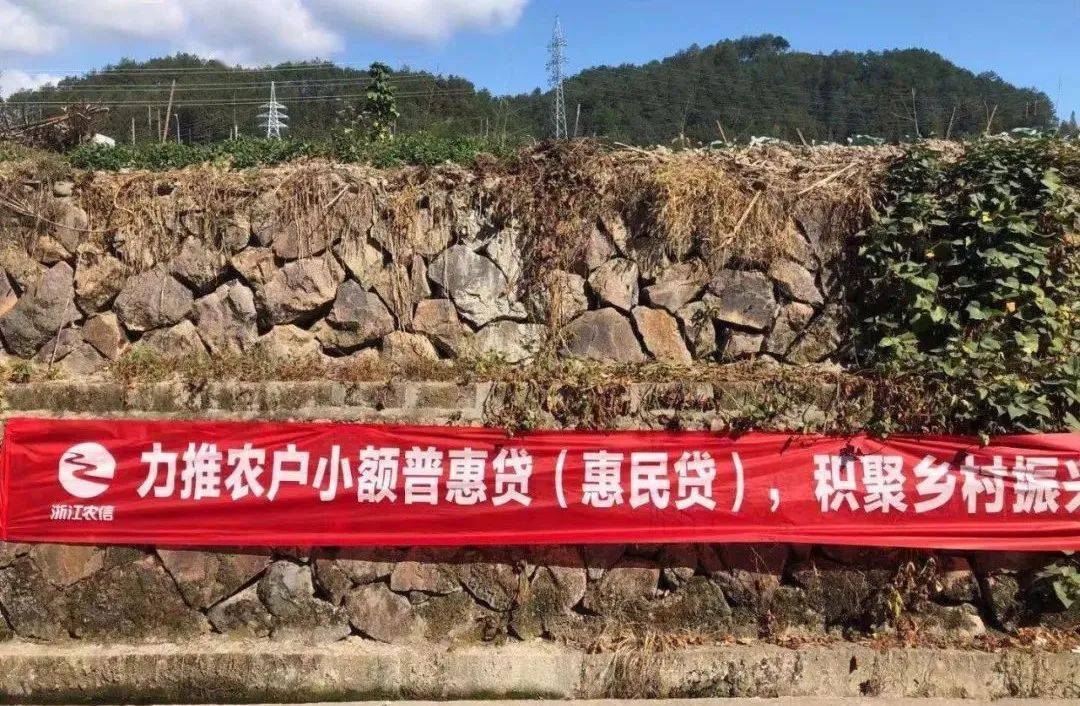 遂昌贷款 来自搜狐网