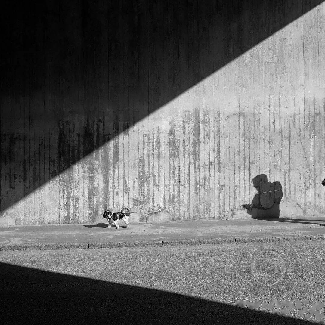 原创获奖公布2021第三届极简主义摄影奖年度摄影师作品揭晓