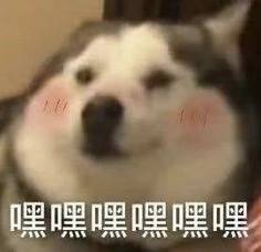 孙颖莎|不用再催更！国乒队的隔离日记真的来了