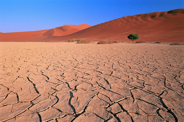 生态科普阅读 当塔克拉玛干沙漠遭遇洪水之后.