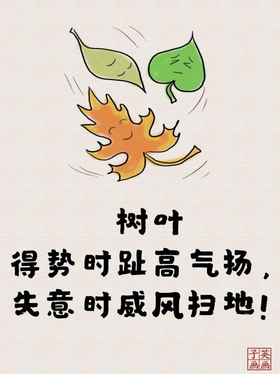简单粗暴的人生哲理（比较简单粗暴的说说）