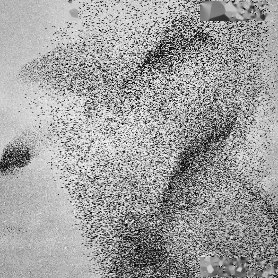 作品|获奖公布 | 2021第三届极简主义摄影奖（年度摄影师）作品揭晓