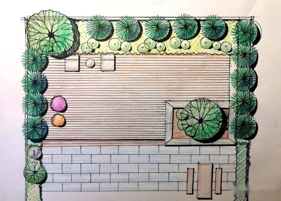 如何掌握各类植物与铺装知识的画法?