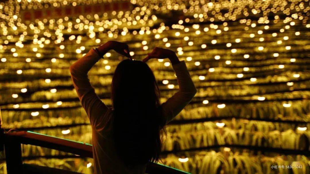 拍照攻略 | 七夕带你玩转万亩灯海_火龙果