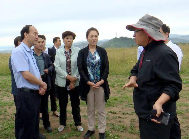 陈青在礼县调研秦文化巩固拓展脱贫攻坚成果与乡村振兴有效衔接等工作