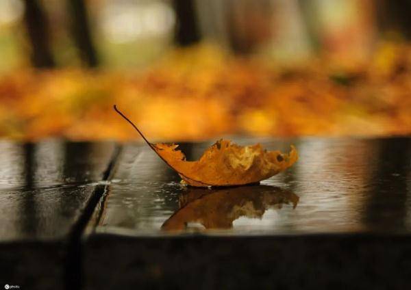 时间性|家长注意，秋季孩子有这个症状可能是得了花粉症！