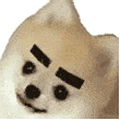 乱七八糟的表情包，我可太喜欢了！