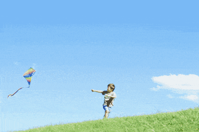 风 筝作者:解幸东品着豫南的土腥味,赤足在鄂北的土地上狂奔.