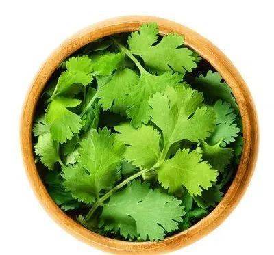 香菜怎么吃啊 2c43fb8c73e348ad9b7bc2798e9be561.jpeg