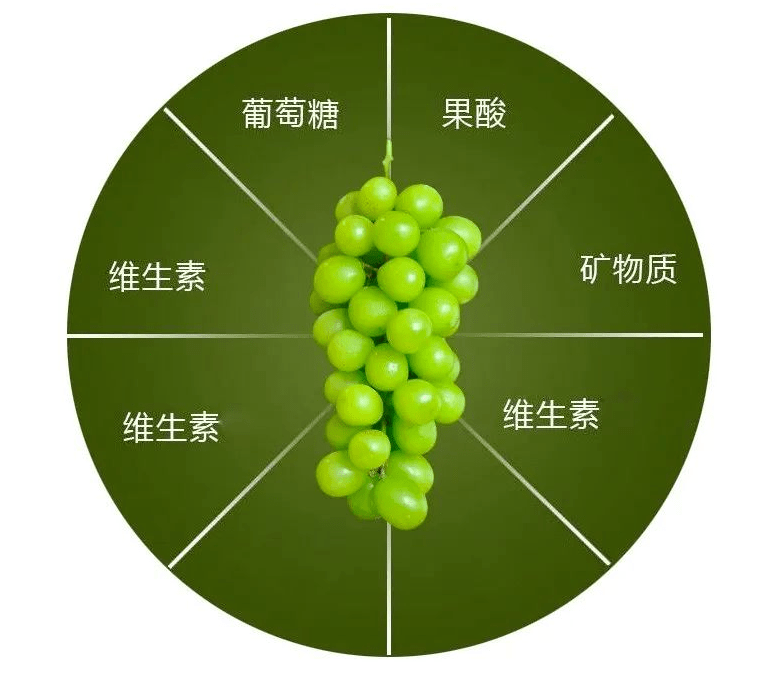 晴王阳光玫瑰葡萄中的爱马仕再不吃就要等明年啦