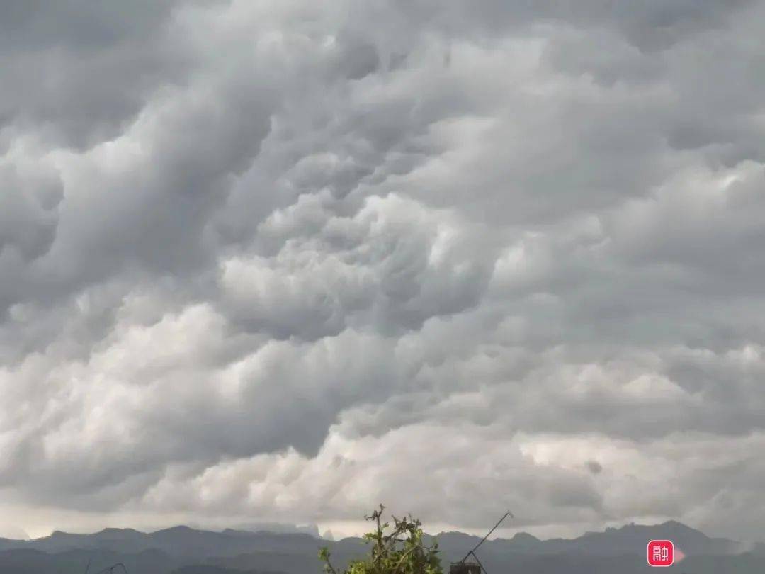 前一秒歲月靜好,後一秒烏雲密佈,這場雨刷爆了融水朋友圈