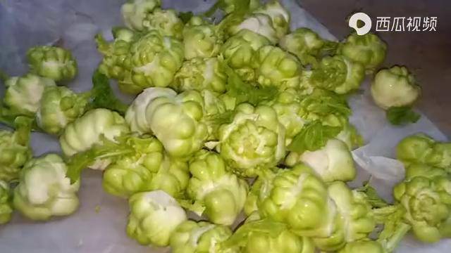 很多人做疙瘩菜第一步就做错了难怪吃起来又苦又涩