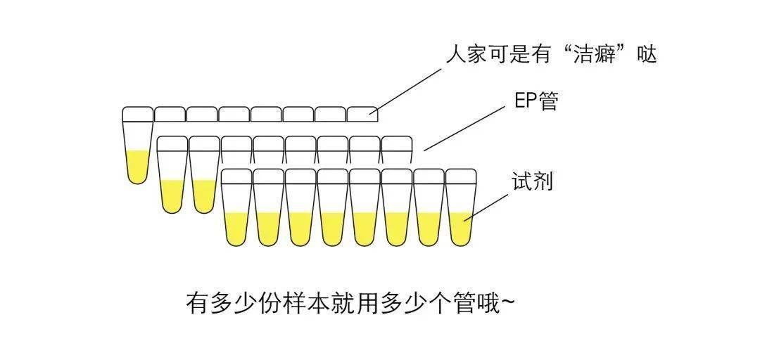 进行|【防疫知识】别再催核酸报告了，看完这篇文章就明白了！