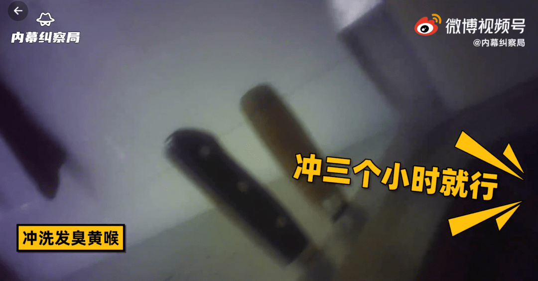 8ee0d9cd035547ed94ebf9dd5247d941.png