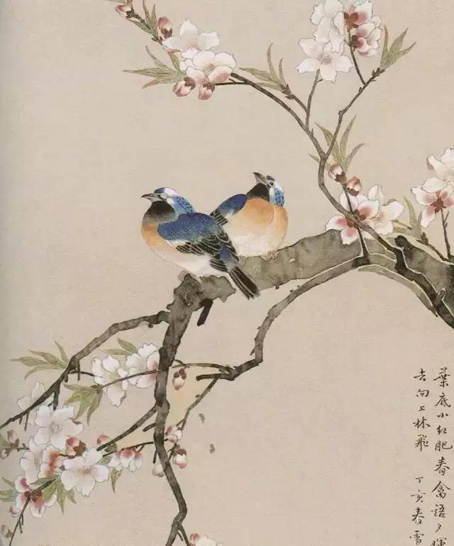 花鸟画技法图典历代名家笔下的牡丹桃杏茶花玉兰