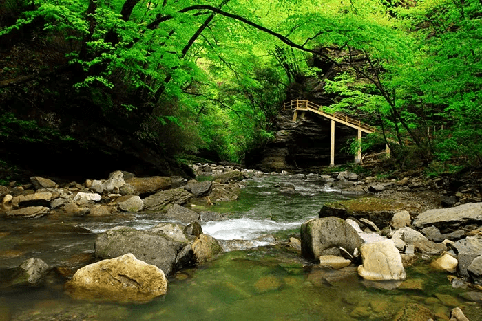 巍峨龍山奇石側立,瀑布如簾崇山峻林,茂林修竹將各個景點串聯觀光沿著