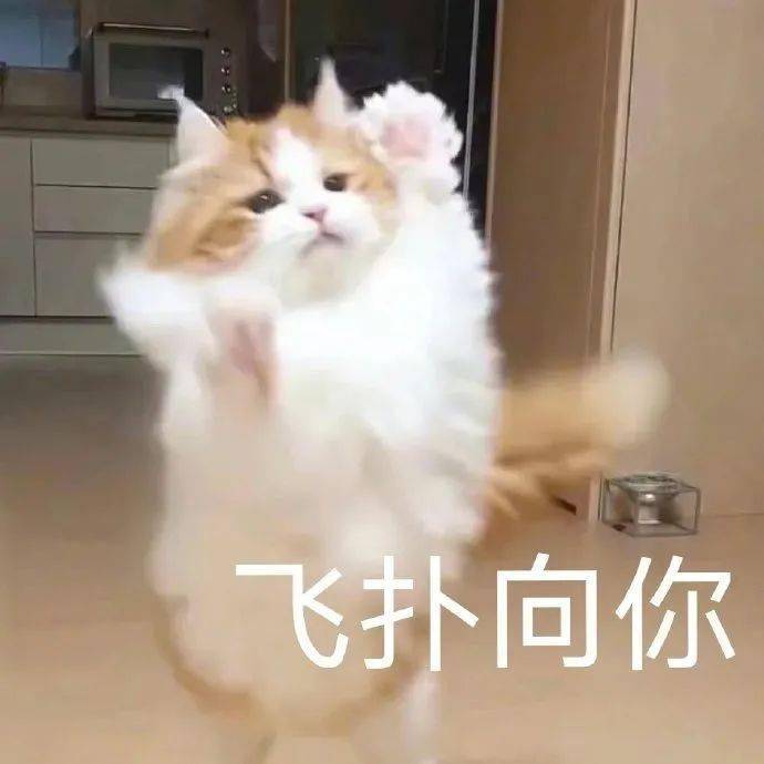进行|让无数仙女OMG的防晒喷雾，真的安全吗？