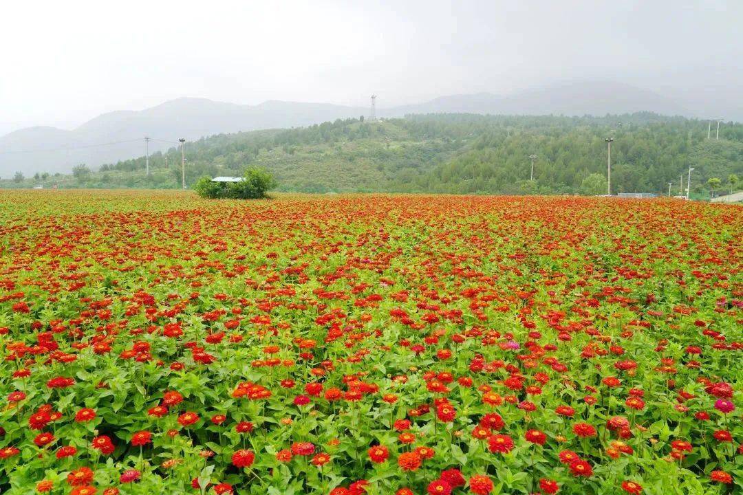 解读十四五打造山水融合的绿色空间