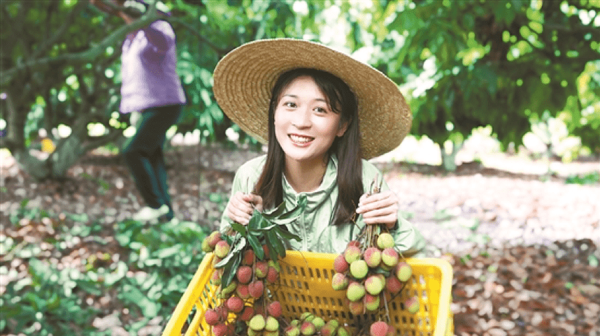 网红菠萝妹妹代言广东荔枝 供图/王小颖