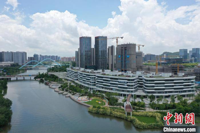 广州市南沙区(资料图) 南沙区政府供图中新网广州8月17日电 (王坚 余