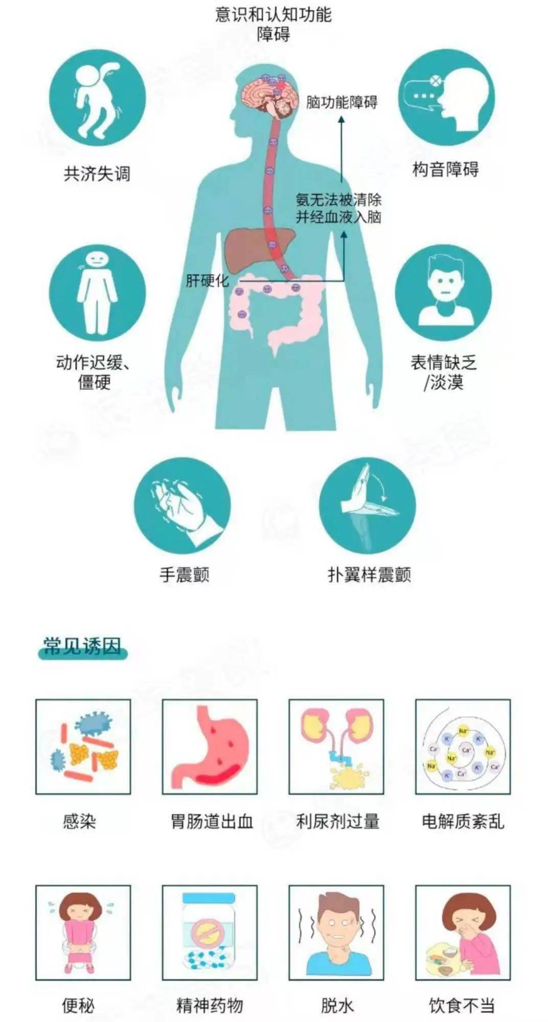 【病例夹】莫名其妙变傻了,原来是肝性脑病