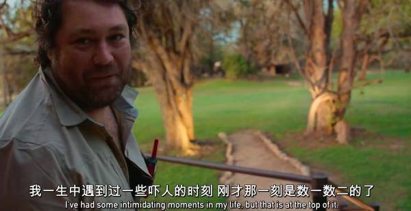 The|把人类关起来,应该是动物们每年的生日愿望吧