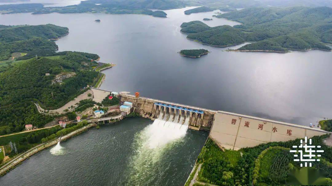 单位,设计单位,施工单位等生产建设项目水土保持市场主体存在的违法违