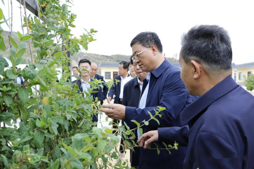 汪尚学在通渭县调研