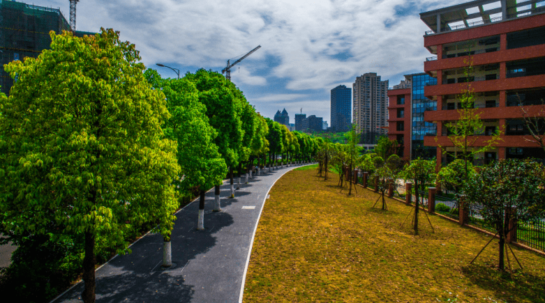 两江绿道：构建低碳新空间 打造都市慢生活