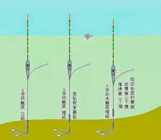 今天,我們要說的就是調漂,因為發現一些釣友,在冬天釣鯽魚時,還在用