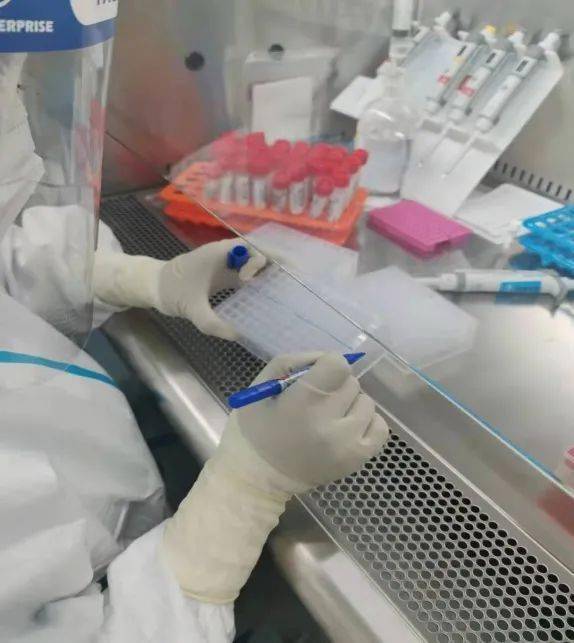 【杏林健康小讲堂】新冠核酸检测操作细节来啦!这份报告来之不易!