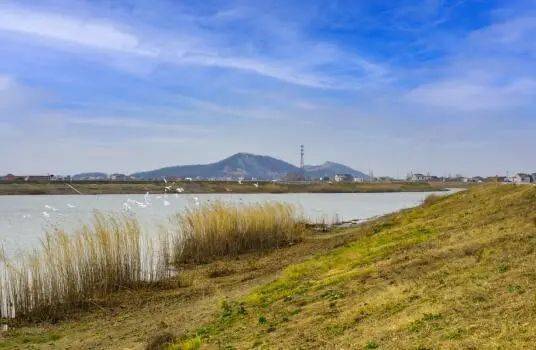 西河流经无为727km正在创建省级示范河湖