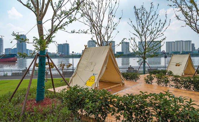 上海这处滨江林间平台可预约帐篷营地，每日早8晚6开放