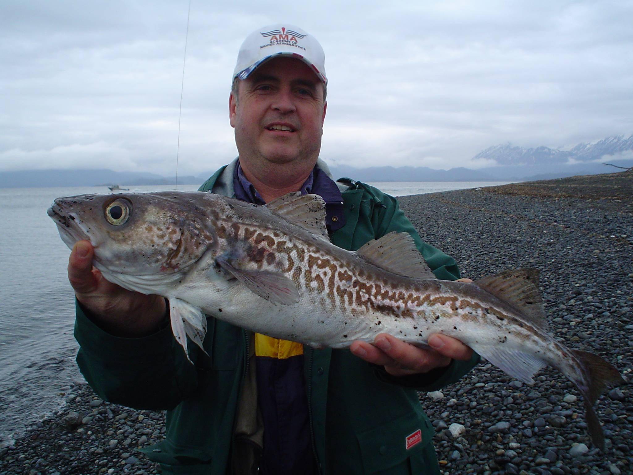 停止把明太鱼运给中国俄罗斯独自捞金背后在打什么算盘