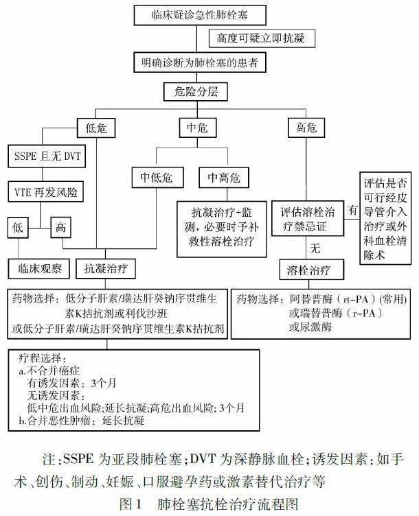 急性肺栓塞如何做好紧急处置