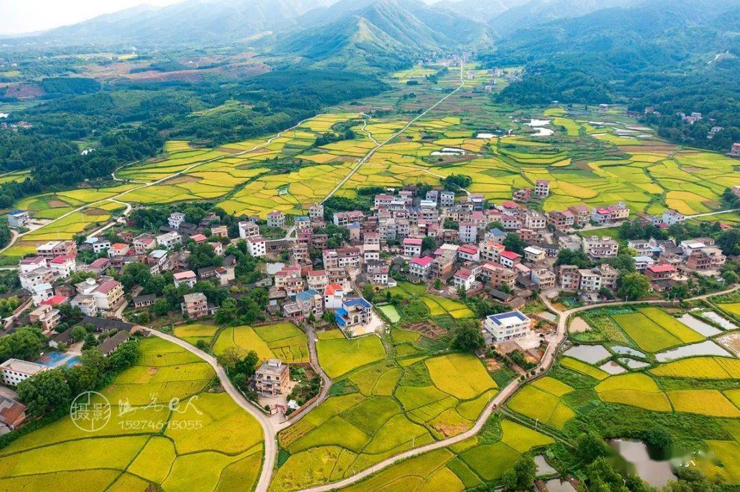 东安县鹿马桥镇金江村田园秋色