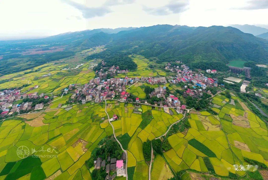 东安县鹿马桥镇金江村田园秋色