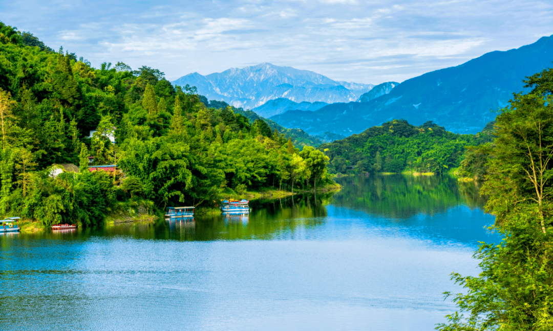 「桂花镇」竹海溪流遍布的成都小镇_竹林