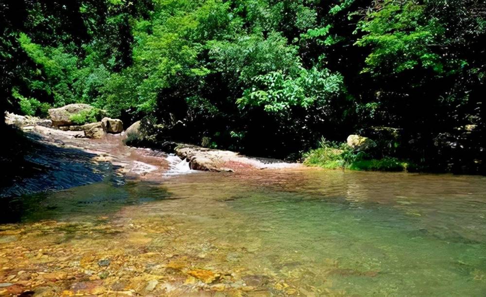 桂林这个天然水潭，短短月余垃圾遍地，变得面目全非