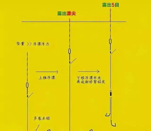 秋釣鯽魚還在用調四釣二有一條魚上鉤算我輸