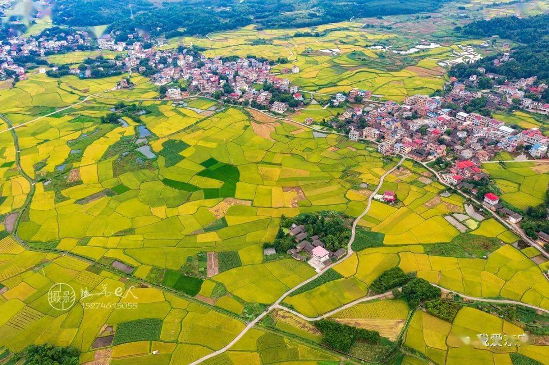 东安县鹿马桥镇金江村田园秋色