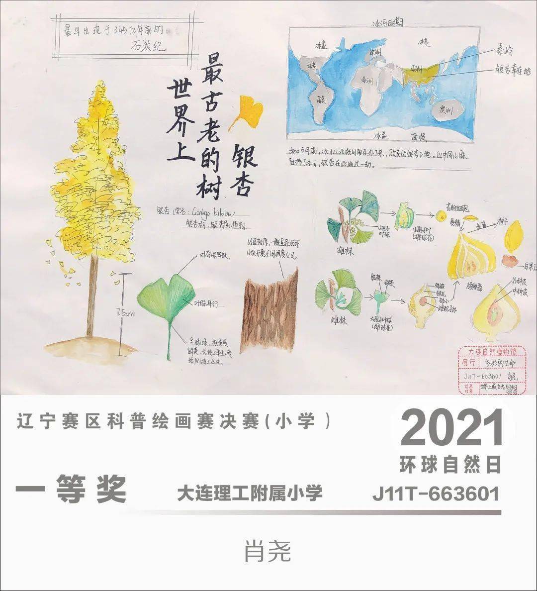 环球自然日2021辽宁赛区科普绘画赛优秀作品赏析